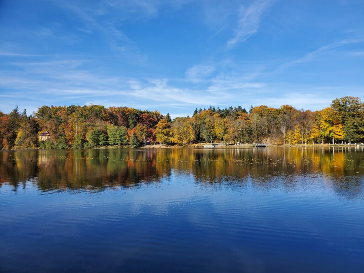 The castle grounds of Konopiste Castle, with its forests and a central lake