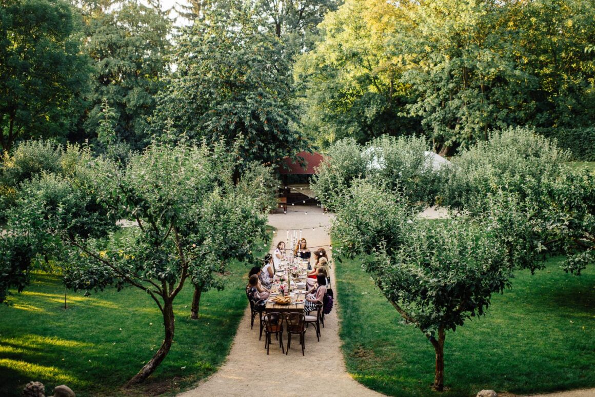 A table with wedding guests along a brown dirt road between olive trees in the backyard of Savoia Castle, a popular Czech Republic wedding venue