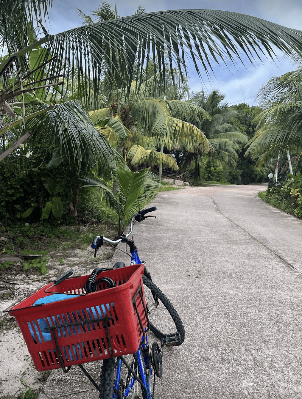 A bike sits on a road in La Digue, one of the best things to do in the Seychelles