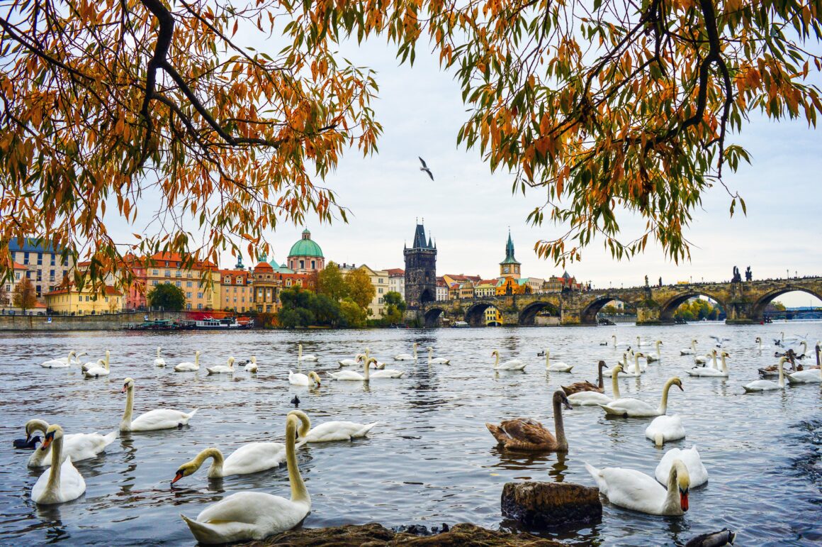 Prague's Old Town neighborhood, one of the best spots to do Prague tours.