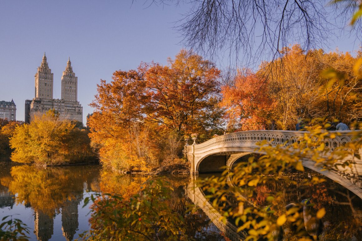 Trees with orange leaves line a pond and bridge in Central Park, one of the best free things to do in New York City.