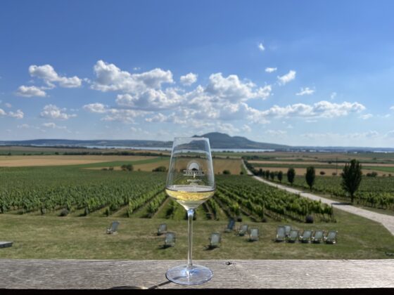 Sonberk Winery, one of the best wineries in Moravia, Czech Republic