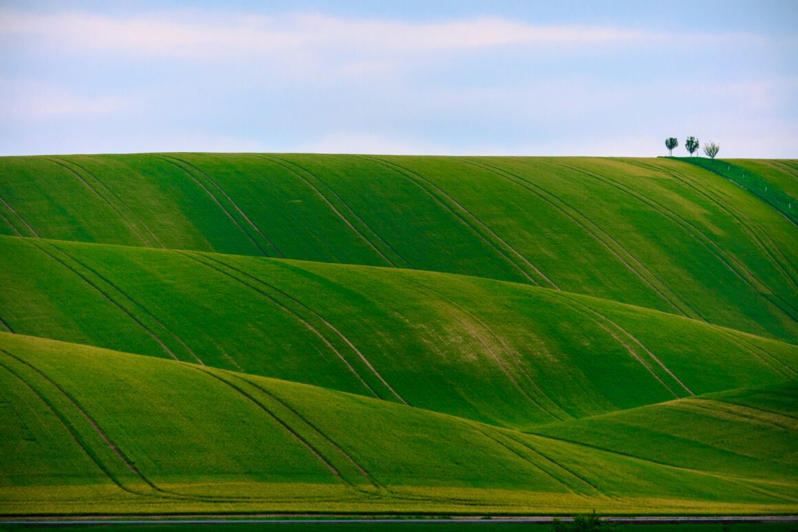 The rolling hills of Moravia, Czech Republic, the country's wine region