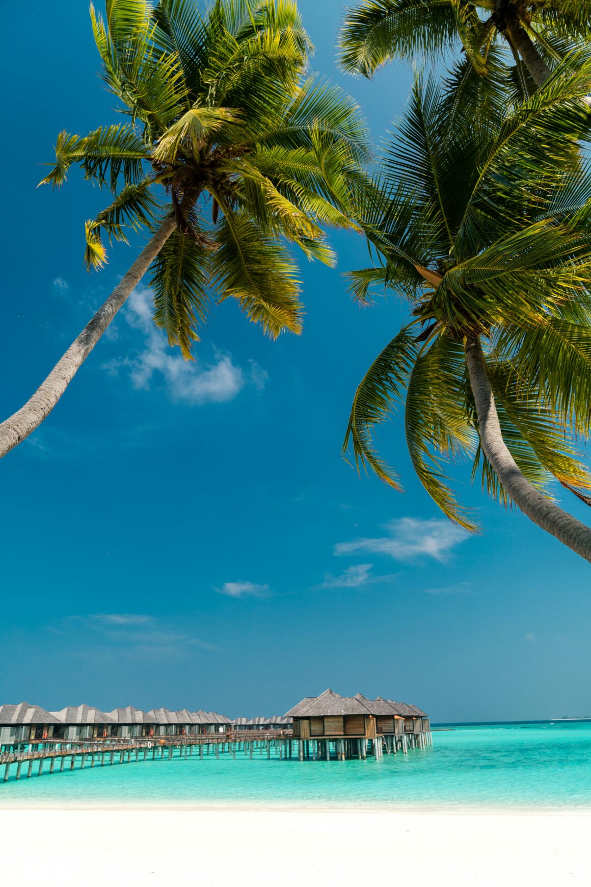 The beautiful blue waters of the Maldives islands, best visited during December to February, one of the best times to visit the Maldives