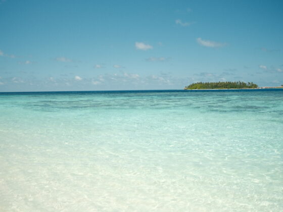 Pristine water in the Maldives on one of the local islands