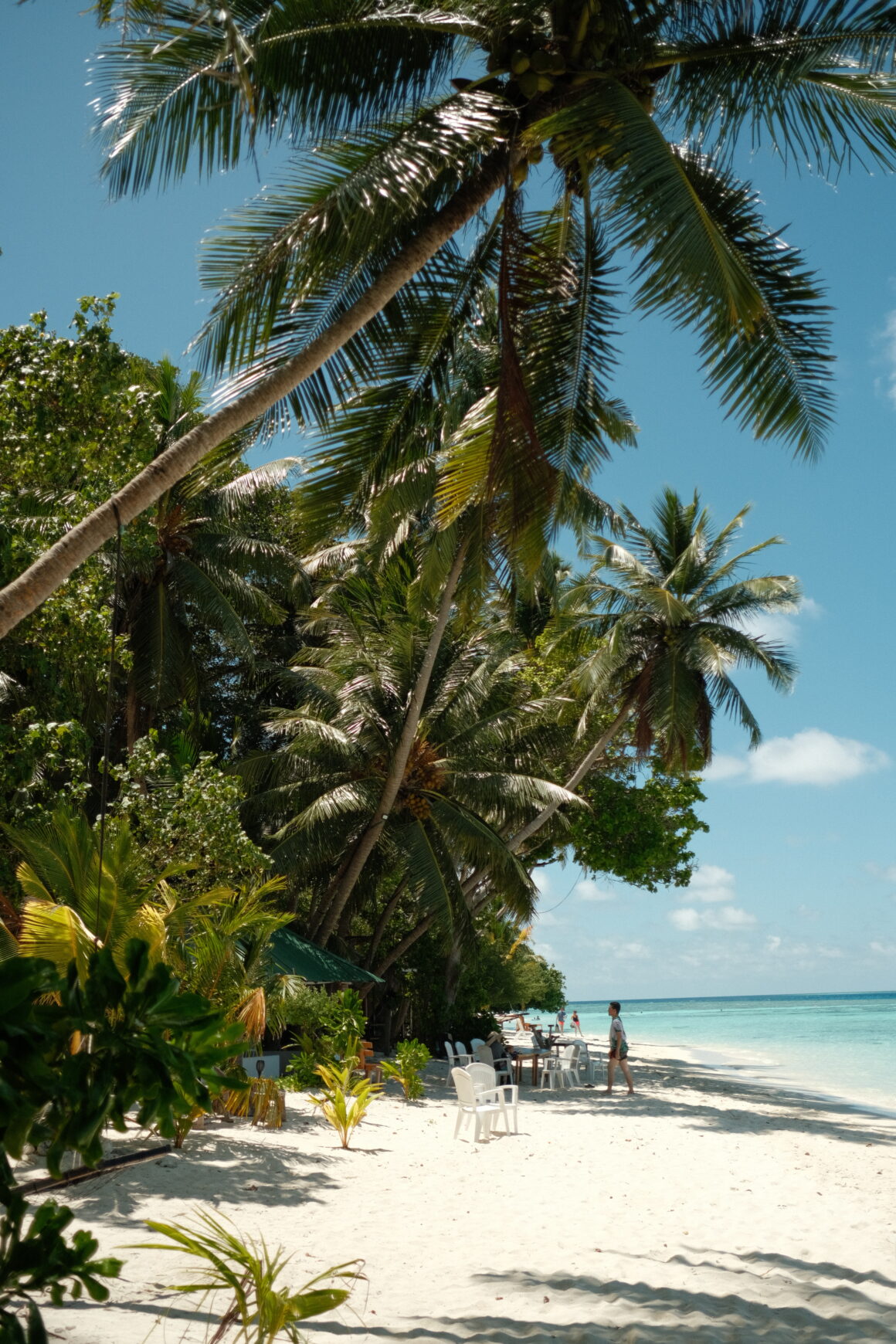 The beatiful beaches of the Maldives